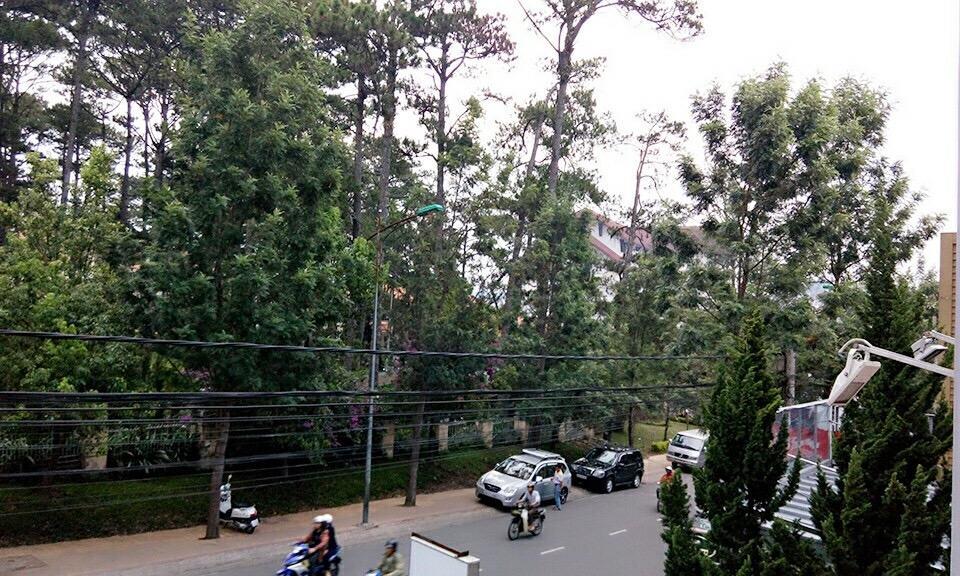 Trang Thanh 2 Guest House Da Lat Buitenkant foto